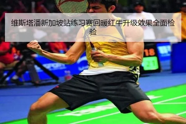 维斯塔潘新加坡站练习赛回暖红牛升级效果全面检验